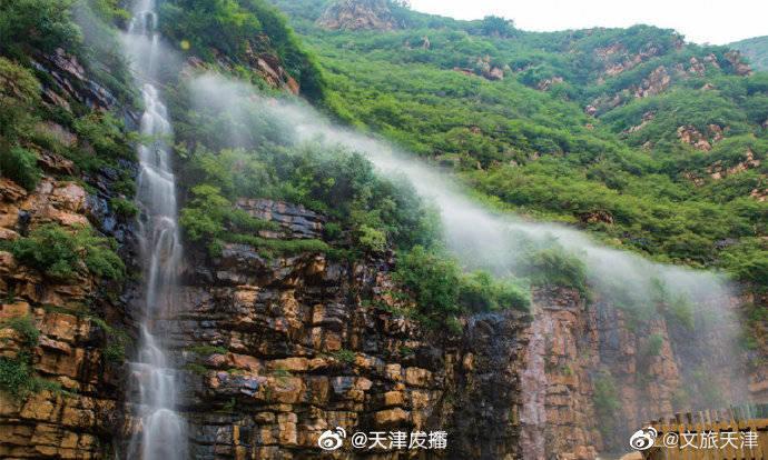 缤纷水果茶无敌版